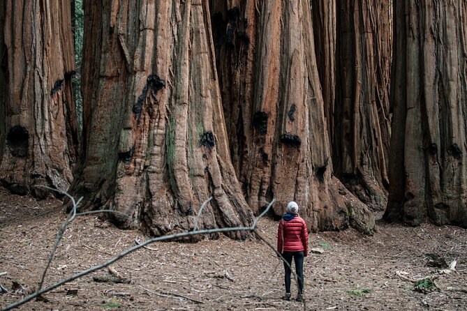 Womens Only Yosemite 3-Day Camping Adventure From San Francisco - Guided Experience