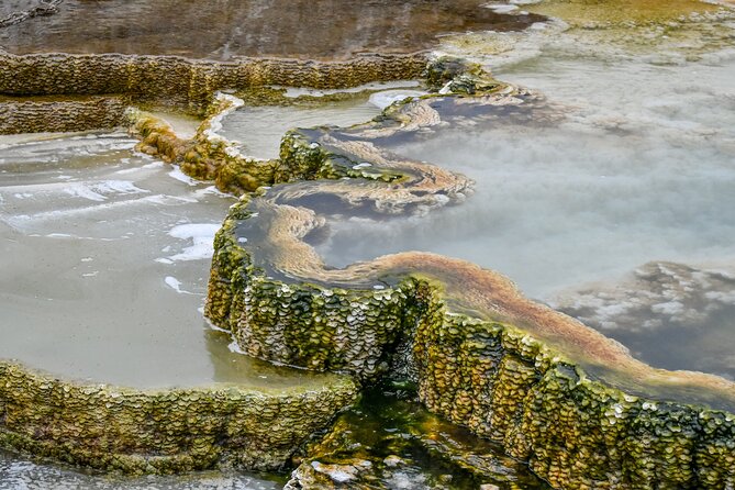 Yellowstone & Grand Teton Tour Review - Highlights From Yellowstone and Grand Teton Parks