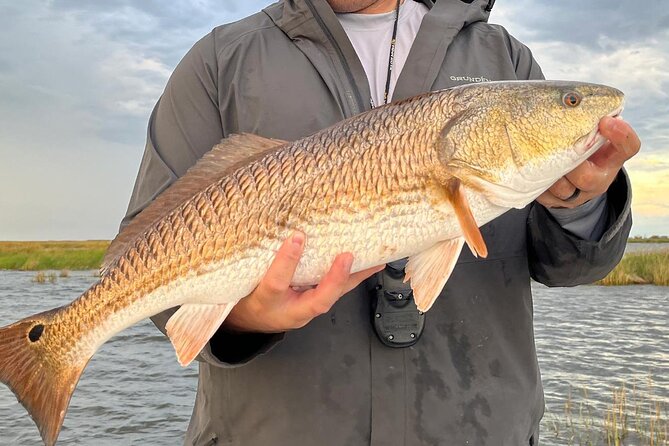 4 Hour Calm Water Inshore Fishing Charter in Sarasota, Siesta Key - Key Points
