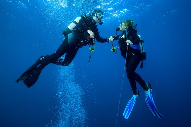4 Hour Guided Scuba Diving Adventures Review - About Your Stay