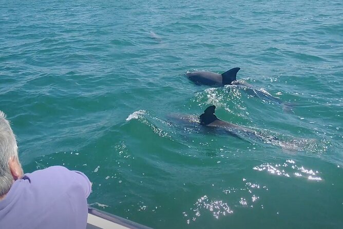2-hour Private Boat Tour in Clearwater Florida - Tour Logistics