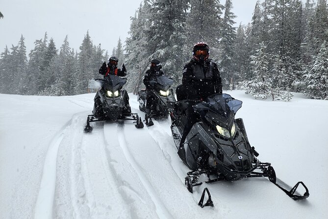 4-Hour Guided Scenic Snowmobile Tour Review - Tips on What to Wear and Prepare for the Tour