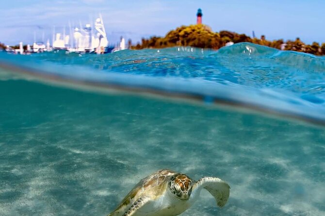 4 Hour Narrated Sightseeing Tours & Sunset Trips: West Palm Beach - Accessibility and Participation