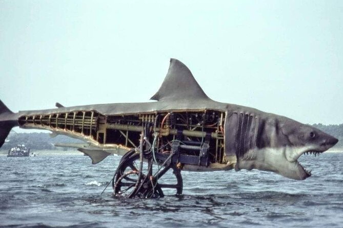 4 Hours Hop-On Hop-Off Jawsome Jaws Tour - Engaging Tour Highlights