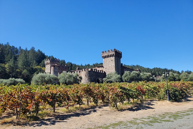 6 Hour Variety Wine Vineyard Tour in Napa Valley - Premier Wineries Visited