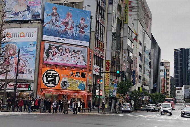 Amazing Tsukiji Fish Market and Akihabara Pop Culture of Tokyo　 - Insider Tips From Your Guide