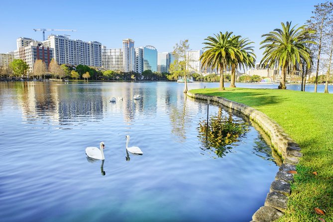 Arrival Private Transfer: Orlando Airport MCO to Orlando in Business Car - Additional Services and Special Requests
