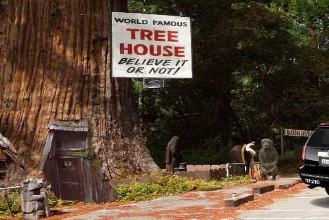 Avenue of the Giant Redwood Private 1 Day Tour From San Francisco - What to Expect on the Tour