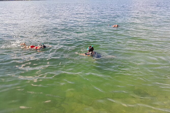 Bayside Market Place Snorkeling for Beginners - Important Considerations for Participants
