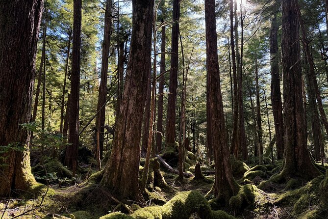Beautiful Hike on Tongass National Forests Lunch Creek Trail - Frequently Asked Questions
