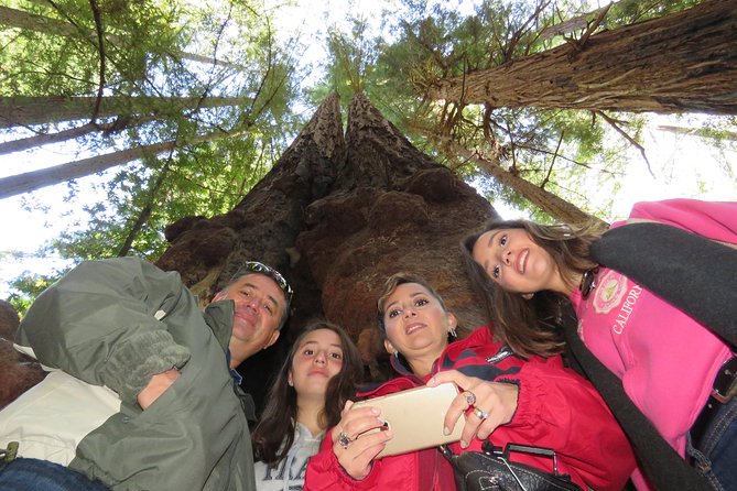 Best San Francisco, Muir Woods & Sausalito Tour Review - Understanding the Pickup and Drop-off Points