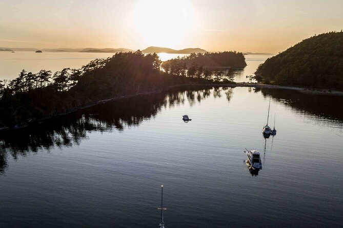 Bioluminescence and Sunset Kayak Tour Review - Analyzing Traveler Reviews
