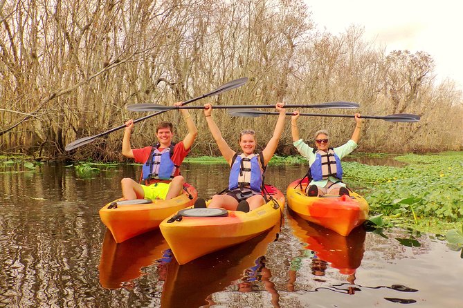 Blue Springs Manatee Tours Review - Insights From the University of Florida Naturalist