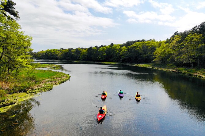 Cape Cod Sunset Kayak Tour Review - Reviewing the ACA Certified Guide