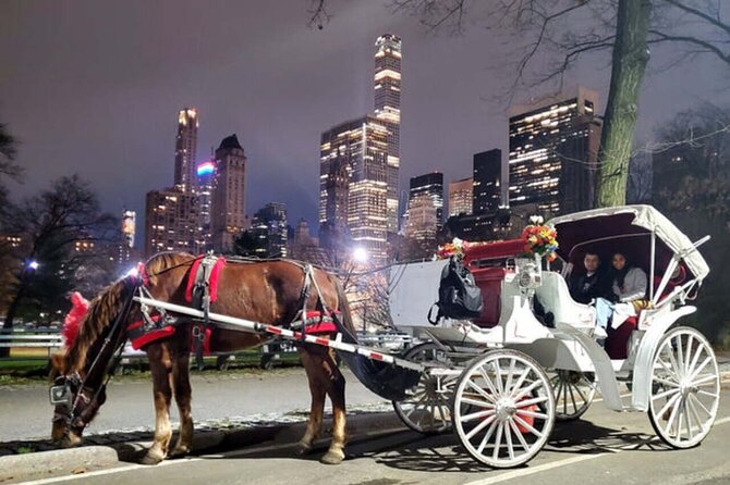 Central Park and NYC Horse Carriage Ride Review - Accessibility and Who Can Join