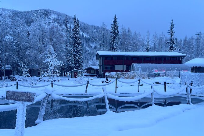 Chena Hot Spring Day Tour - Customer Feedback Highlights