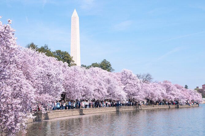 Cherry Blossom Private Bus Tour of Washington DC - Accessibility Information