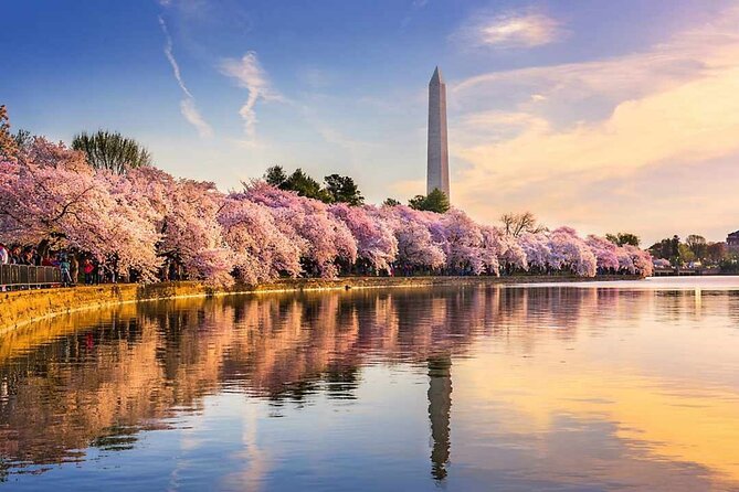 Chicago to Washington D.C. Cherry Blossom 3-Day Tour - Booking and Payment Information