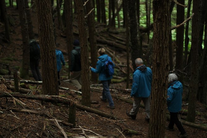 Chilkat Inlet Coastal Hike in Haines - Chilkat Glacier and Its Breathtaking Vistas