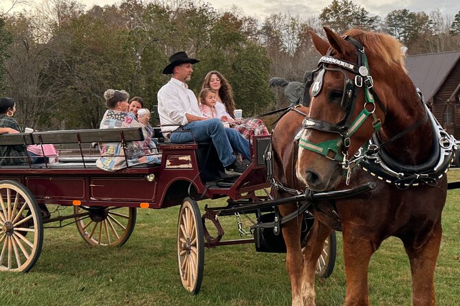 Cozy Farm Experience With Wagon Wheels and Acoustic Meal - Meeting and Pickup Information