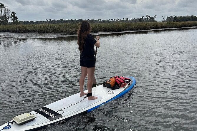 Crystal River Reserve State Park Electric Paddleboard Rentals - Refreshments and Additional Considerations