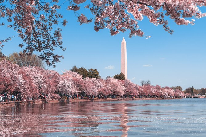 Day or Night Private DC Monuments Tour | Luxury Stretch Limo - Enjoy Unparalleled Comfort and Convenience