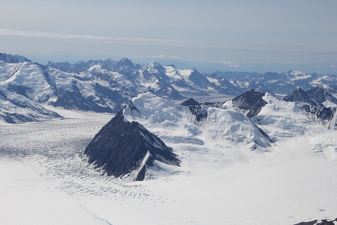 Denali Southside Adventure Flightseeing Tour Review - Analysis of Customer Reviews and Feedback