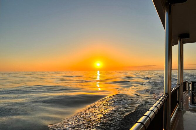 Destin Crab Island Tour - What to Expect on the Tour
