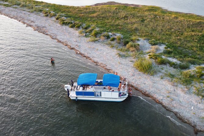 Dolphin Boat Tour From Folly Beach Review - Wildlife and Scenery Highlights