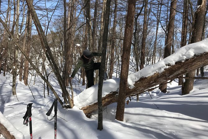 【5 Minutes From Water Ic】 Snow Trekking Half-Day Tour to Enjoy Japanese Snowscapes - Accessibility and Travel Recommendations
