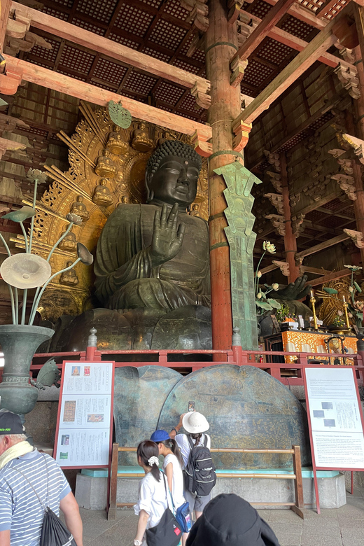 【Same-Day OK 】Osaka to Nara in 5 Hours Tour - Accessibility and Considerations