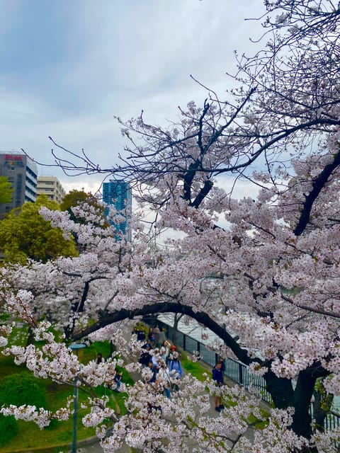 【Same-day OK】Osaka: Cherry Blossoms, Castle, & Culture Tour - Explore Osaka Castle