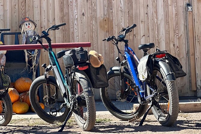 EBIKE Winery Tour in Penrose Review - Booking Process and Customer Service