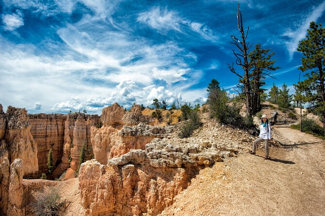 Explore Bryce Canyon: Private Full-Day Tour From Salt Lake City - Highlights of the Tour