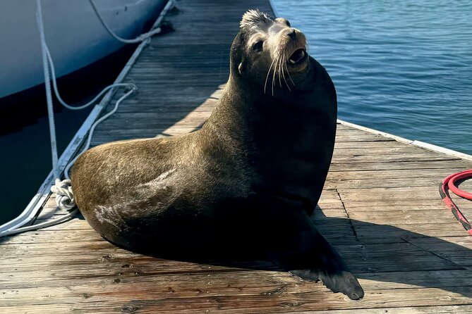 Fisherman's Wharf and Pier 39 Maritime Food Tour - Accessibility and Transportation