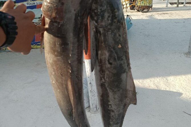 Full Day Private Deep Sea Fishing in Holbox - Reviews and Ratings Breakdown