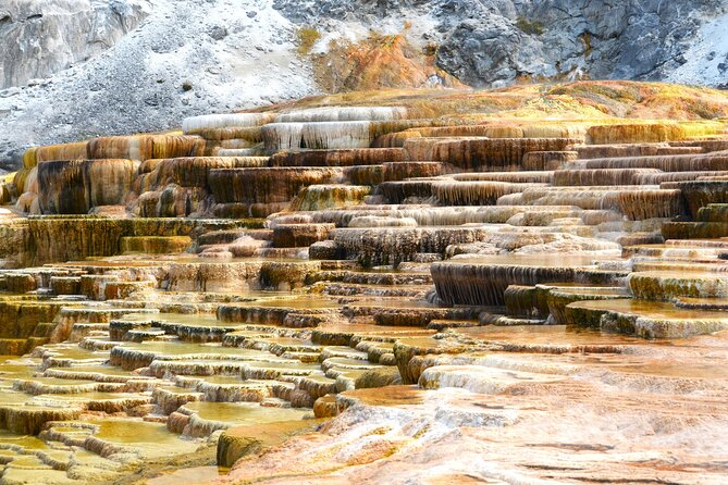 Full Day Private Yellowstone National Park Lower Loop Adventure - Logistics and Meeting Details