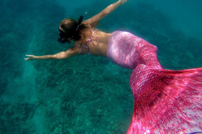 Guided Mermaid Snorkel Experience Review - Inclusions and Equipment Provided