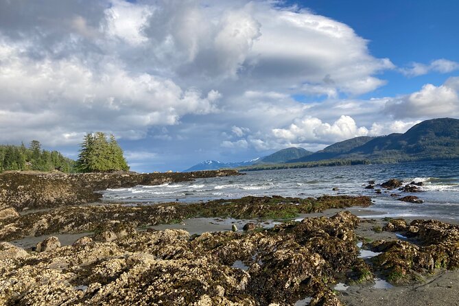 Guided Tour of Ketchikan's Top Attractions - Booking and Cancellation Policies