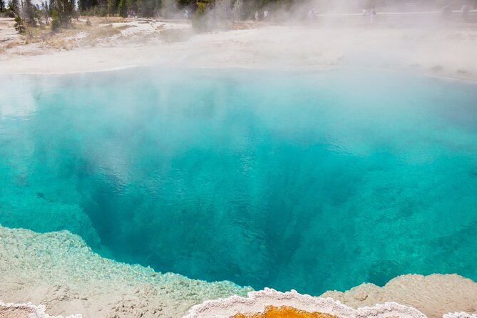 Guided Yellowstone Hot Spring Tour Review - Lunch and Dietary Accommodations