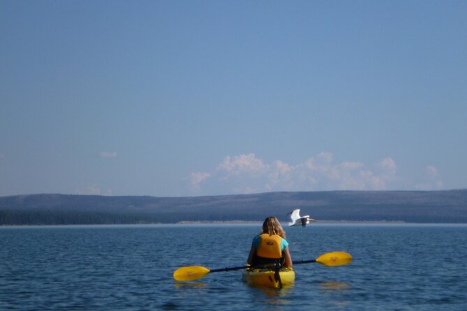 Half Day Paddle on Yellowstone Lake Review - Weather Considerations and Clothing Advice