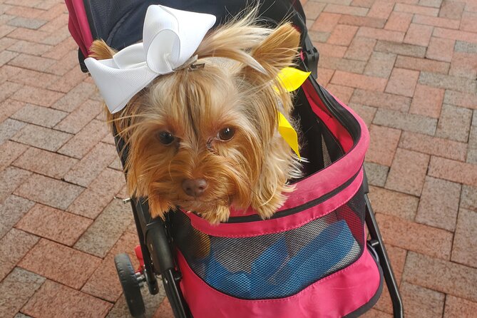 Howl O Ween Doggy Costume Party Cruise - Accessibility and Participation