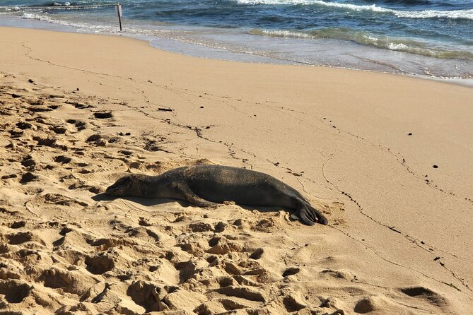 Kauai Island Day Trip From Oahu With Airfare Included - Pickup Locations and Confirmation Process