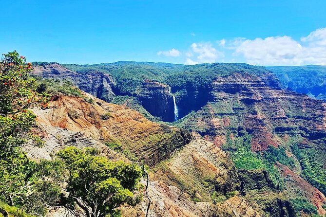 Kauai Island Private Guided Tour-Waimea Canyon From Poipu/Koloa - Cancellation Policy and Flexibility