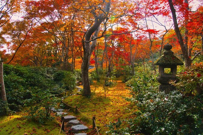 Kyoto Arashiyama: Fall Foliage Walking Tour【Autumns Limited】 - Important Information