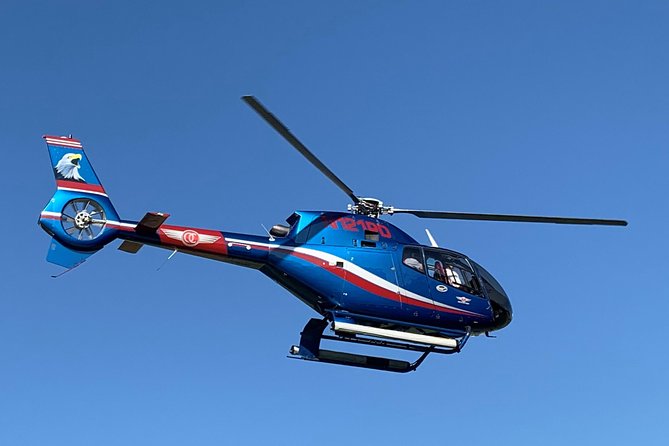 Laguna Beach Tour Review: Aerial Adventure Awaits - Stunning Views: Beaches and Luxury Mansions