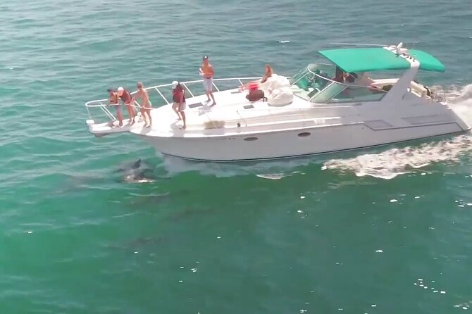 Long Beach: 2 Hour Yacht Sea Life Trip (1 Ticket Covers 1-6 Ppl) - Accessibility and Safety