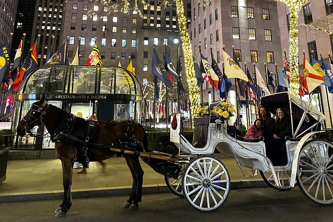 Luxury Horse and Carriage Tours Review - Inclusions and Amenities Provided