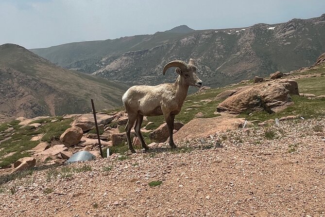 Luxury Private Van to Pikes Peak Review - Highlights From Customer Reviews