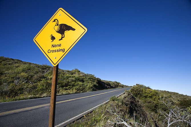 Maui Sunset & Stargazing Tour Review - Booking Process and Cancellation Policy